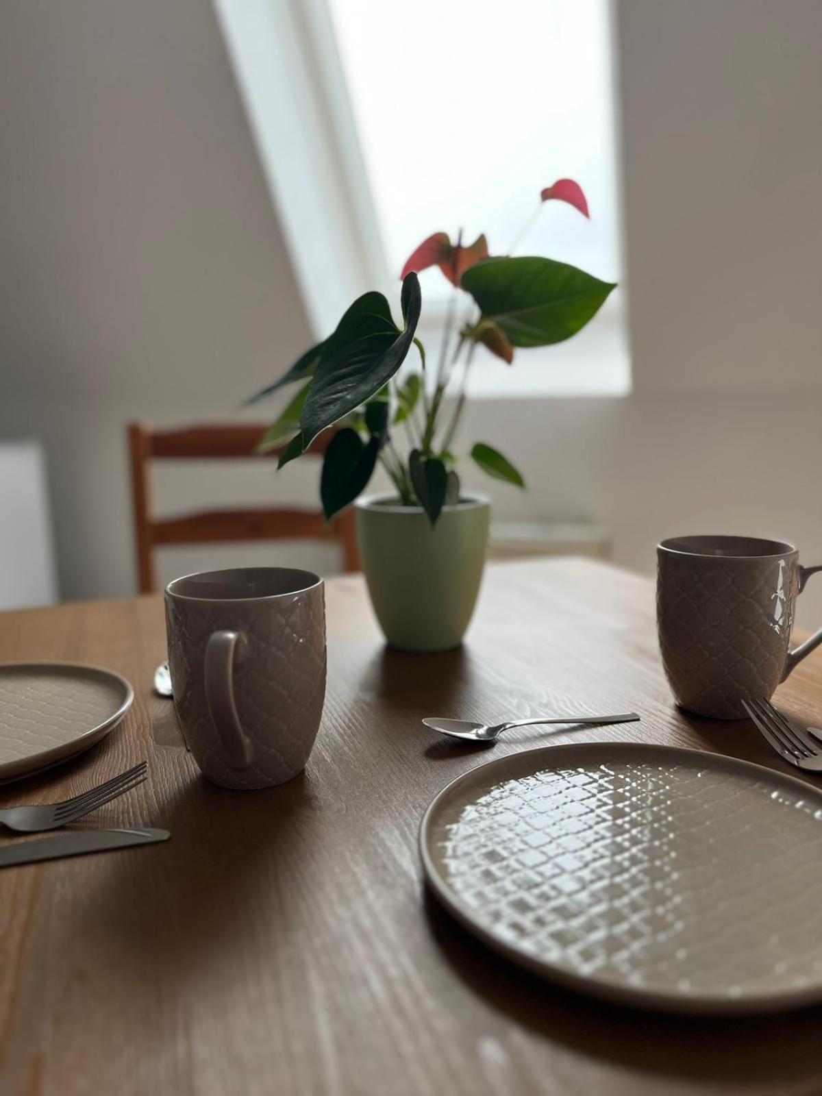 1 Raum Dachgeschosswohnung In Ruhiger Lage Limbach-Oberfrohna Екстер'єр фото